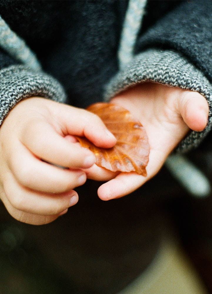 Kopf Herz Und Hand Nach Pestalozzi Unterholz